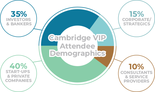 VIP Demographics