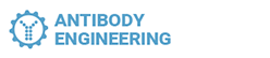 ANTIBODY ENGINEERING